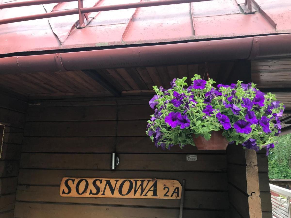 Sosnowy Zakatek Villa Висла Екстериор снимка